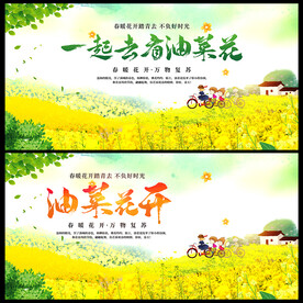 油菜花