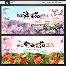 海棠花