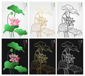 矢量荷花