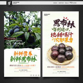黑布林