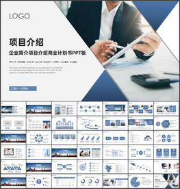 项目简介PPT