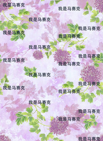 女装大牌 数码印花