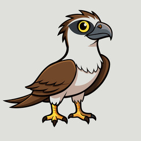 矢量动物鸟类飞禽雄鹰