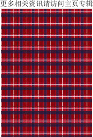 红色格子面料 女装格纹