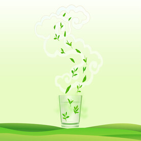 茶叶包装绿茶嫩芽透明杯子祥云图