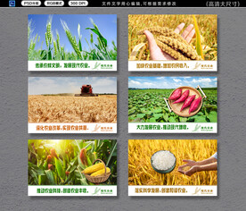 粮食展板