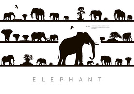 野生动物大象唯美剪影插画