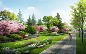 人行道绿化景观效果图