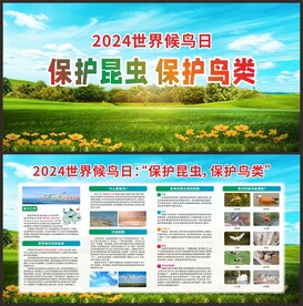 2024世界候鸟日宣传栏
