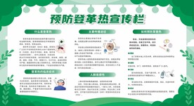 夏季预防疾病登革热与防蚊展板