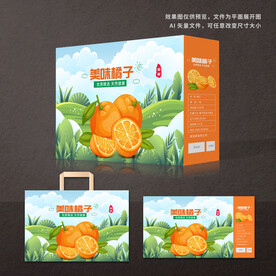 橘子包装礼盒