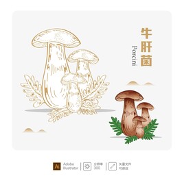 牛肝菌 矢量插画