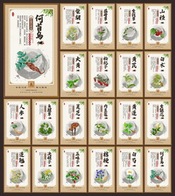 中药文化