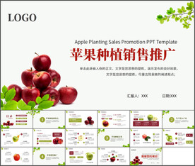 苹果种植销售推广PPT模板