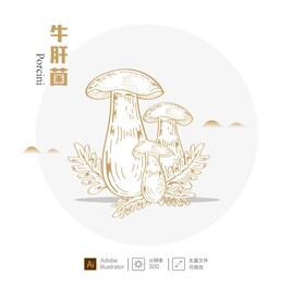 牛肝菌 插画
