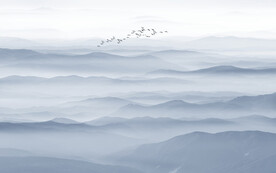 山水水墨山水图