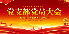 支部党员大会展板