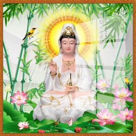 南海观世音菩萨图片