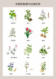 中药材高清png图片