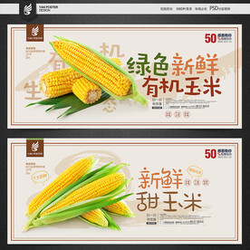 玉米