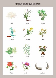 中药材高清png图片
