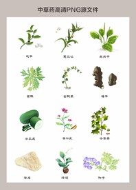 中药材高清png图片