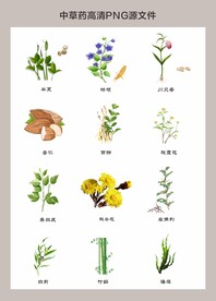 中药材高清png图片