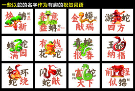蛇名字组合的新年趣味贺词卡通蛇