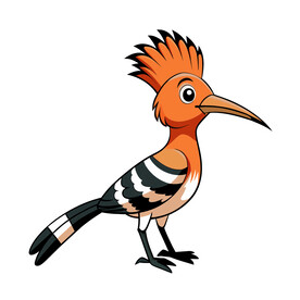 矢量动物一只漂亮的小鸟