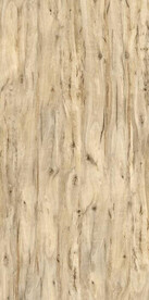 米黄色橡木木纹