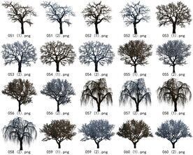 免扣高清景观树枯树雪松素材