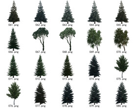 免扣高清景观树国外植物素材
