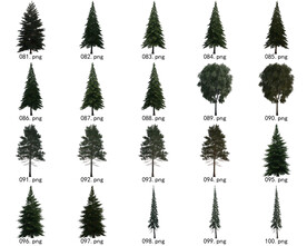 免扣高清景观树国外植物素材