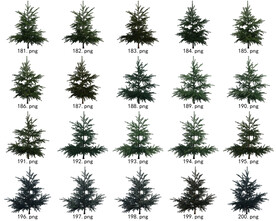 免扣高清景观树国外植物素材