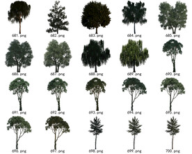 免扣高清景观树国外植物素材