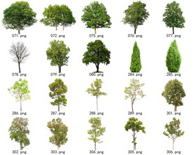 免扣高清景观树常绿乔木素材