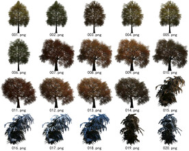 免扣高清景观树常用乔木贴图素材