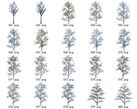 免扣高清景观树常用乔木贴图素材