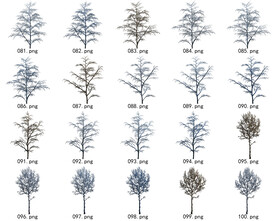 免扣高清景观树常用乔木贴图素材