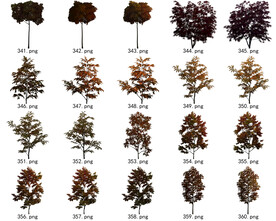 免扣高清景观树常用乔木贴图素材