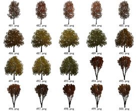 免扣高清景观树常用乔木贴图素材
