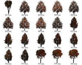 免扣高清景观树常用乔木贴图素材