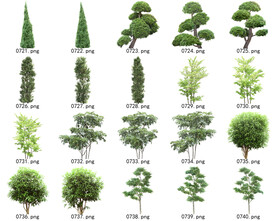 免扣高清景观树常用乔木贴图素材