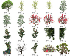 免扣高清景观树常用乔木贴图素材