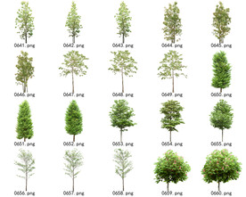 免扣高清景观树常用乔木贴图素材