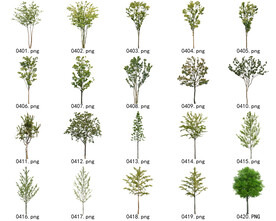 免扣高清景观树常用乔木贴图素材