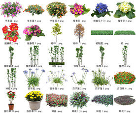 高清树木花卉绿植免抠带名贴图