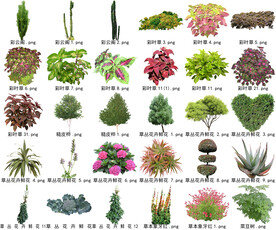 高清树木花卉绿植免抠贴图素材 