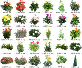高清树木花卉绿植免抠贴图素材 