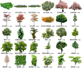 高清树木花卉绿植免抠贴图素材 
